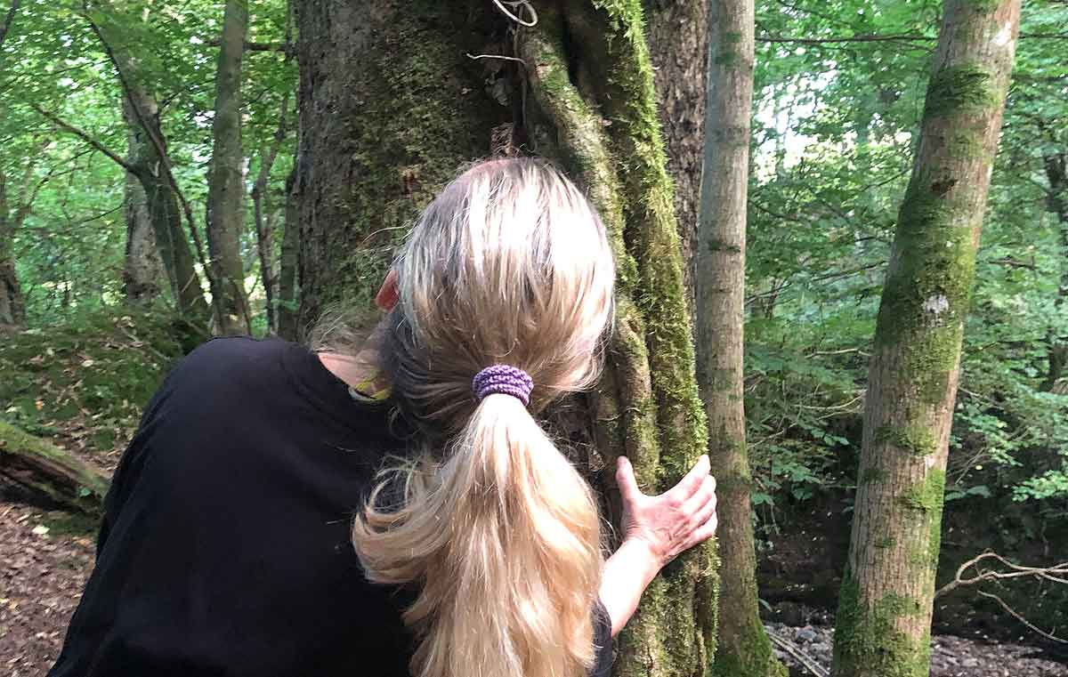 Wald